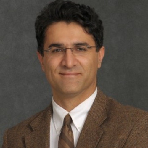 Ali Khosronejad