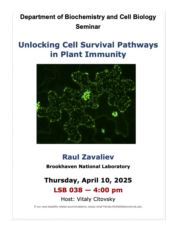 Flier