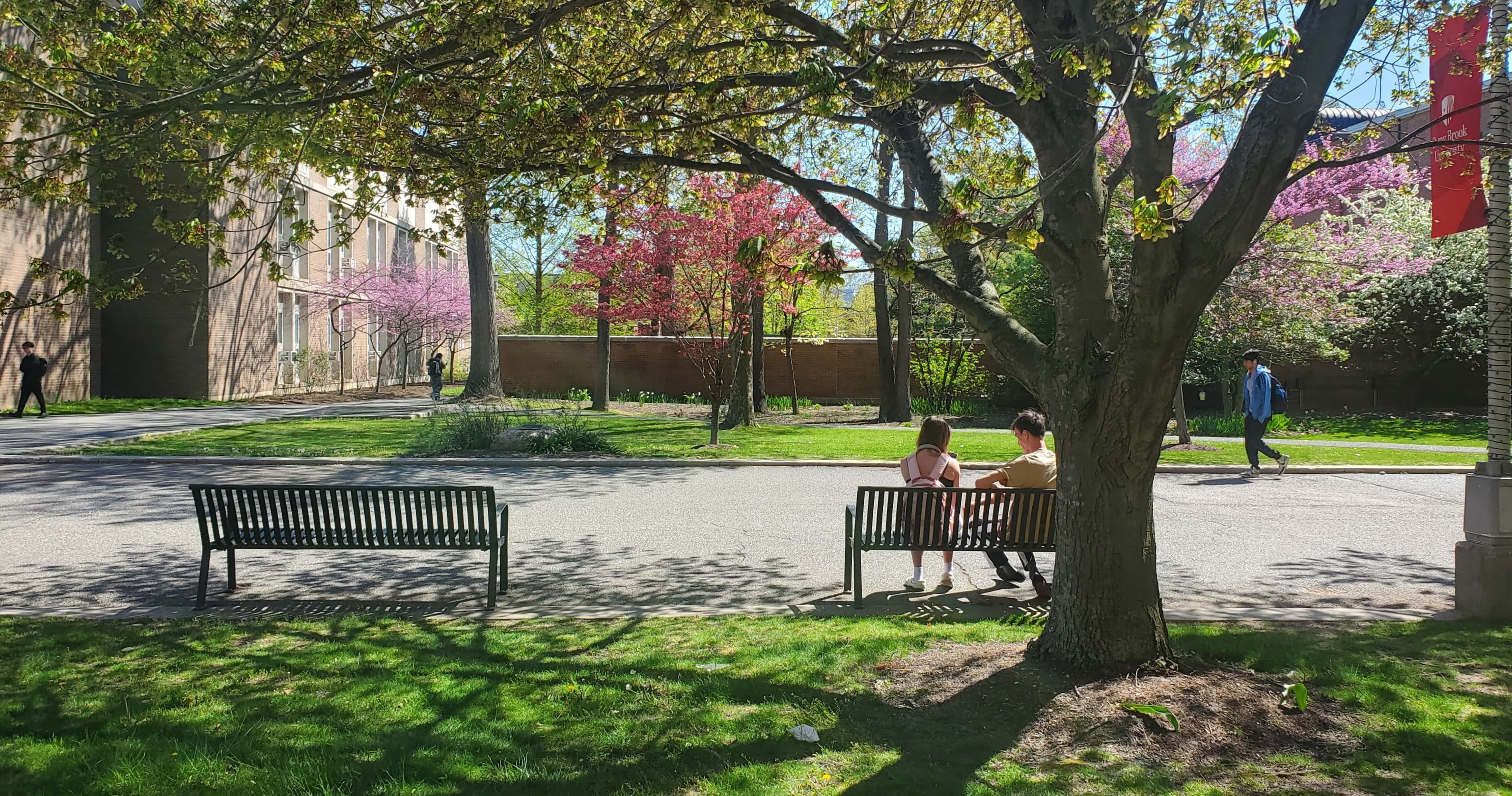 campus and benches