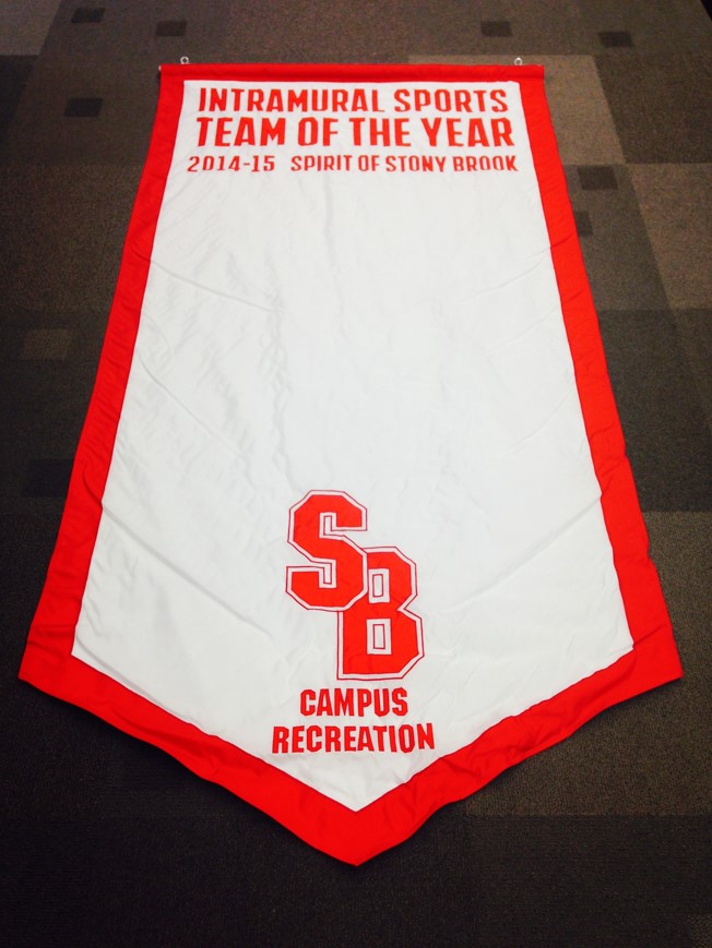 team of the year banner