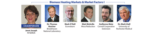 Biomass Heating Markets