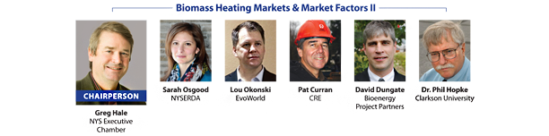 Biomass Heating Markets II