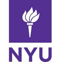 Center of Excellence in Digital Game Development at New York University