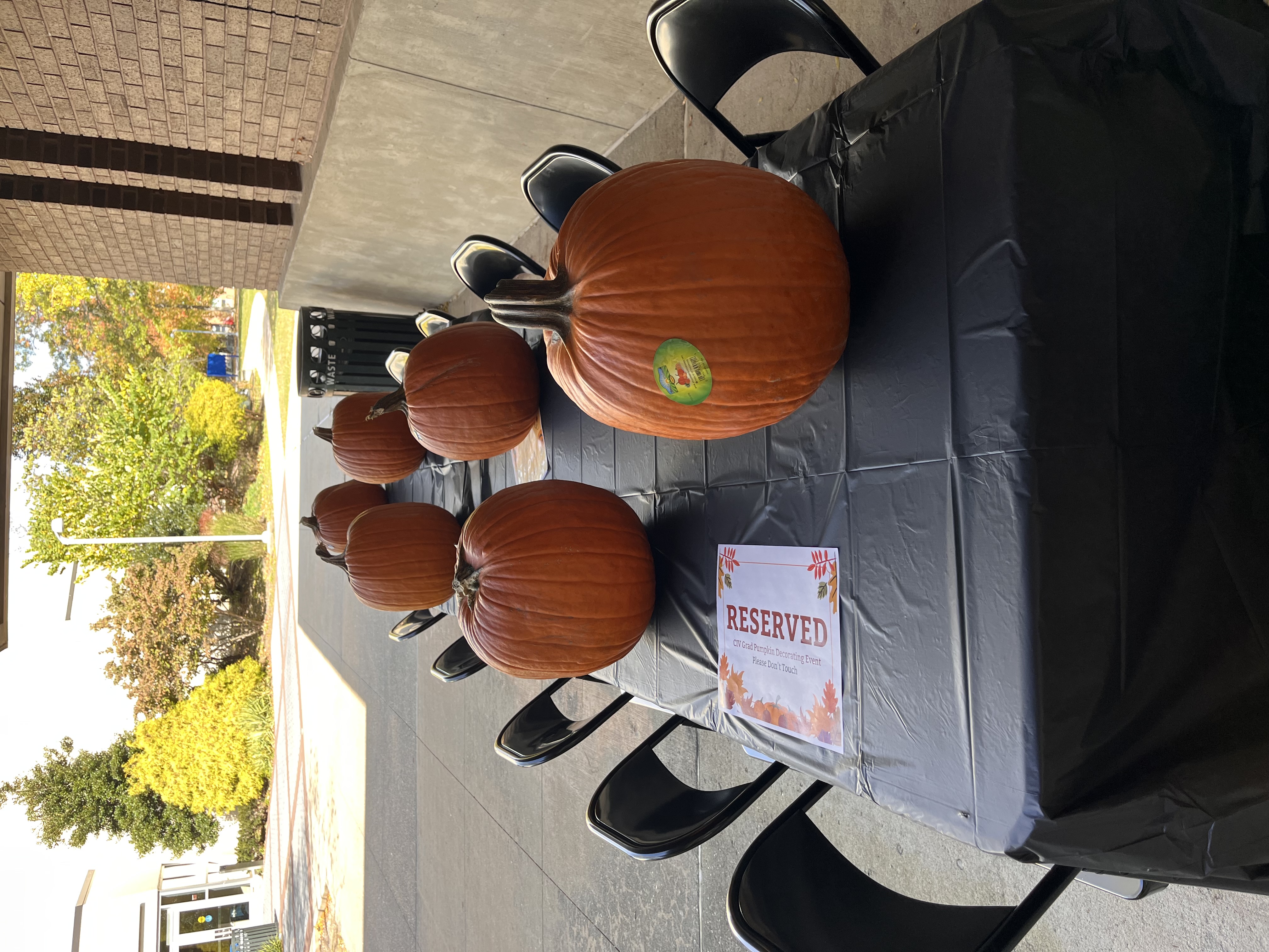 pumpkins ready to carve