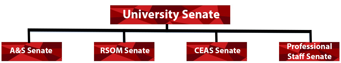 University Senate Structure and MGUs University Senate Structure and MGUs