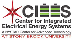 The Center for Integrated Electric Energy Systems (CIEES)